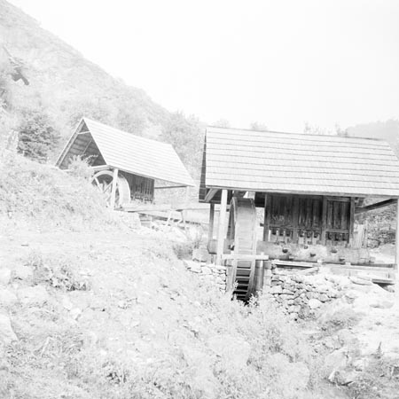aranyzúzók