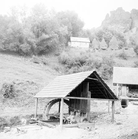 aranyzúzók