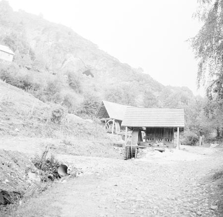 aranyzúzók