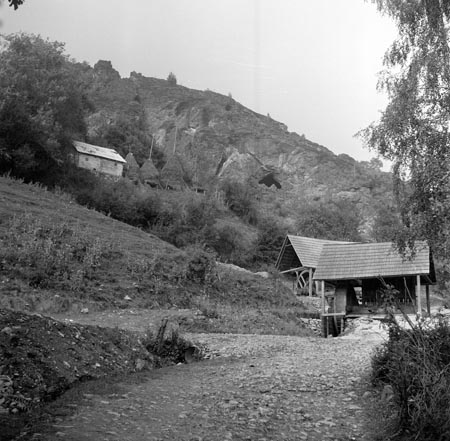 aranyzúzók