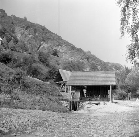 aranyzúzók